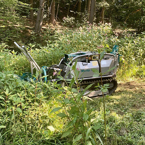 Renker Forstbetrieb GmbH - Post auf Instagram