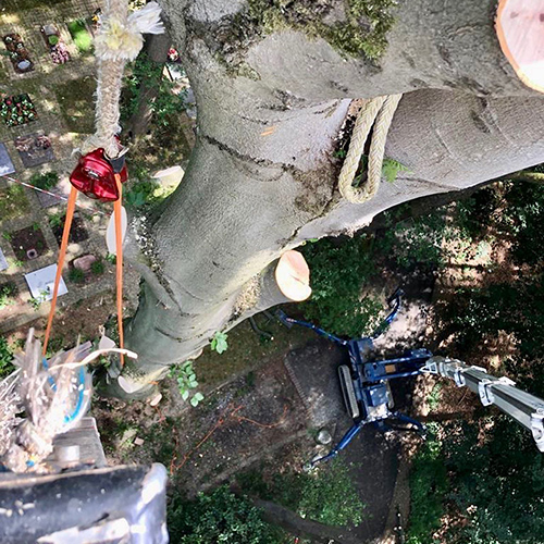 Renker Forstbetrieb GmbH - Post auf Instagram