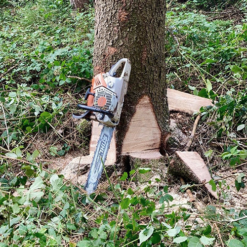 Renker Forstbetrieb GmbH - Post auf Instagram