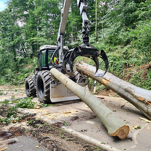 Renker Forstbetrieb GmbH - Post auf Instagram
