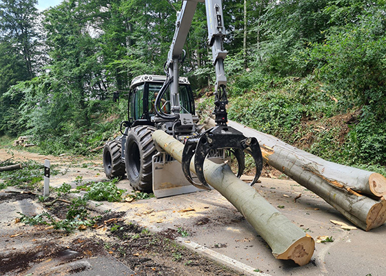 Renker Forstbetrieb GmbH