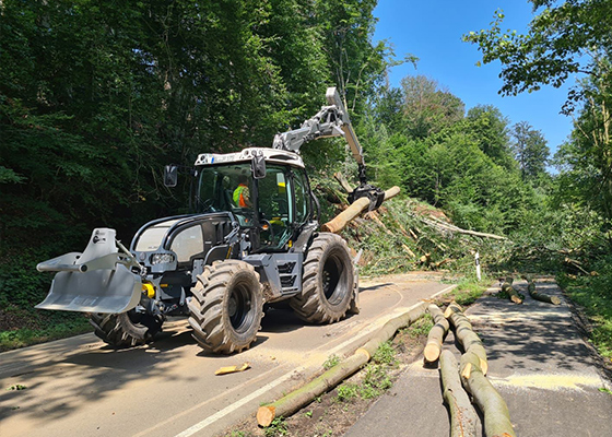Renker Forstbetrieb GmbH