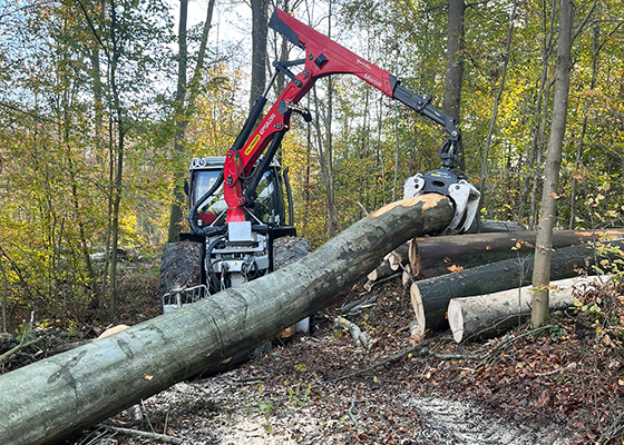 Renker Forstbetrieb GmbH