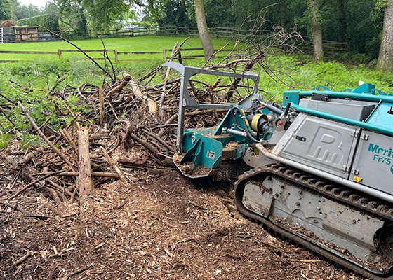 Renker Forstbetrieb GmbH