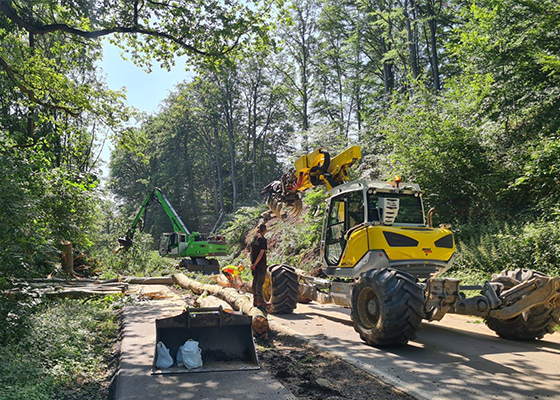Renker Forstbetrieb GmbH