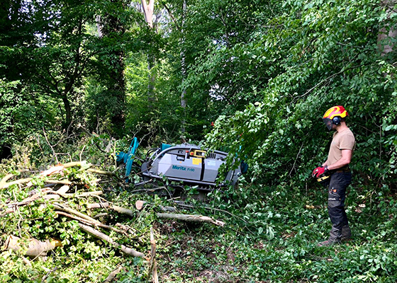 Renker Forstbetrieb GmbH